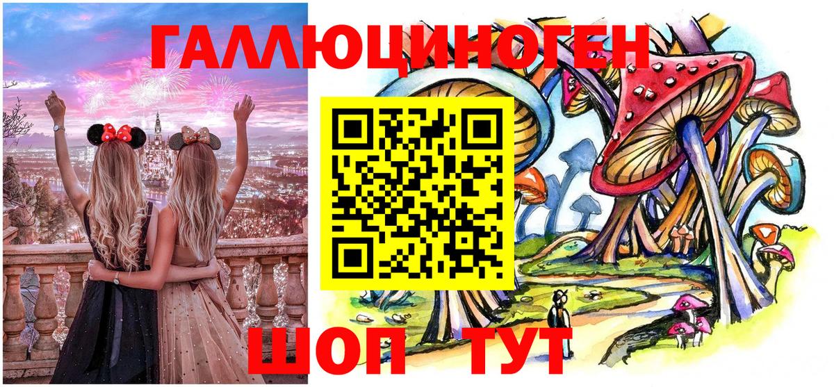 Галлюциногенные грибы Psilocybine cubensis Москва