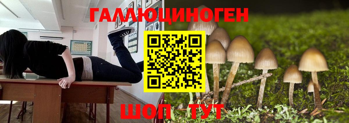 где найти   Вход с VPN  Москва  Галлюциногенные грибы ЛСД 